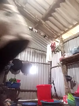 jienrrr online show from December 17, 12:16 am