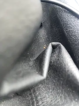 legaros online show from April 3, 2:26 pm