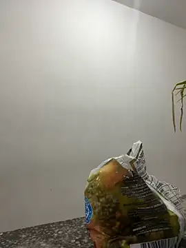 megan bigboobs  online show from September 14, 7:24 pm