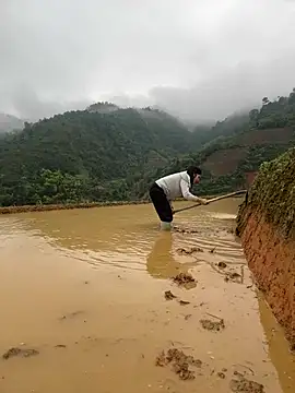 ThiHa003 online show from April 2, 2:42 am