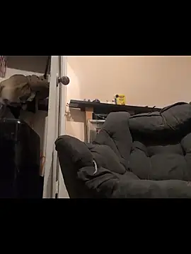 Cnutt310 online show from December 14, 3:50 pm