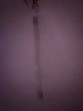 Bebita-zmp online show from March 28, 2:11 am