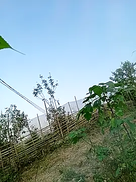 Chubbyhoney1 online show from March 31, 9:43 am