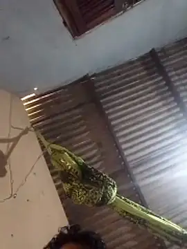 Snapshot of mayevviaqui chatting on March 11, 7:42 pm mayevviaqui online show from March 11, 7:42 pm