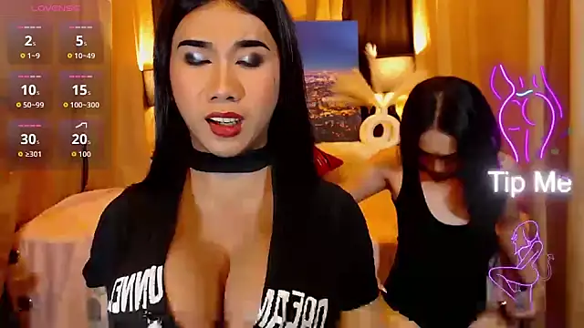 TRANSPORNIDOL online show from May 22, 4:56 pm
