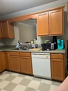 Snapshot of TransSams chatting on October 30, 6:52 pm TransSams online show from October 30, 6:52 pm