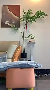 zhizhinaigai online show from January 19, 4:05 am