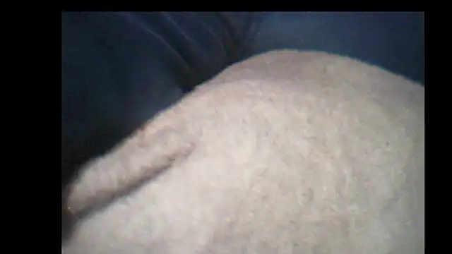 Snapshot of pietje1991 chatting on December 14, 10:25 pm pietje1991 online show from December 14, 10:25 pm