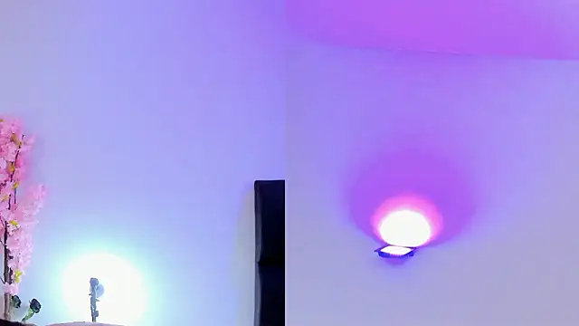 Snapshot of maily_zanss chatting on February 1, 7:56 pm maily zanss online show from February 1, 7:56 pm