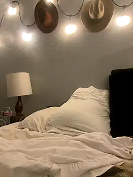 thejohnryancollection online show from November 4, 6:12 am