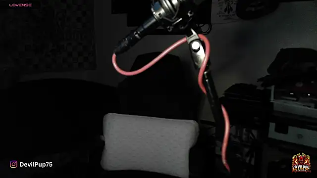 DevilPup75  online show from January 18, 2:59 am