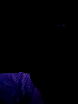 Thoma9034 online show from October 23, 3:17 am