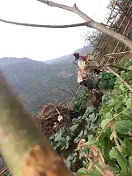 Maymay97 online show from December 20, 10:33 am