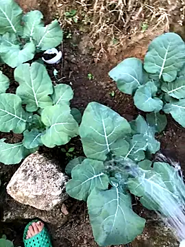 Maymay97 online show from December 23, 12:19 am