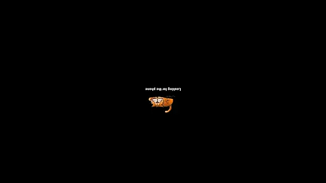 Snapshot of pecsblack888 chatting on September 29, 6:46 pm pecsblack888 online show from September 29, 6:46 pm