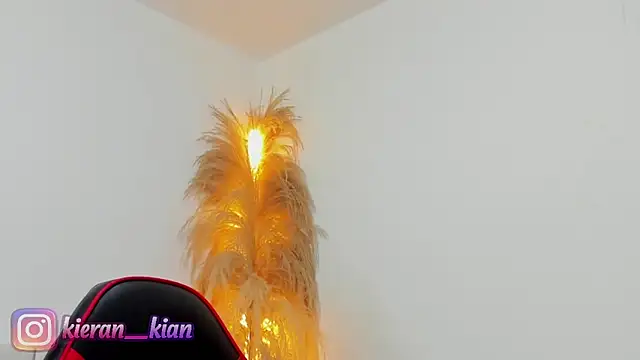 Kieran kian online show from April 19, 3:55 pm