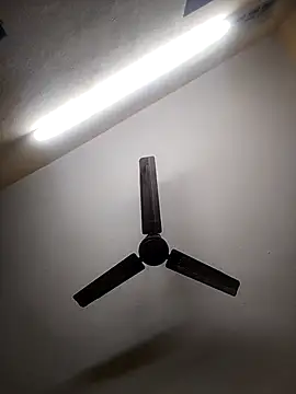 Snapshot of Devi-with-Ram chatting on October 7, 5:48 am Devi-with-Ram online show from October 7, 5:48 am