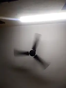 Snapshot of Devi-with-Ram chatting on October 13, 4:34 am Devi-with-Ram online show from October 13, 4:34 am