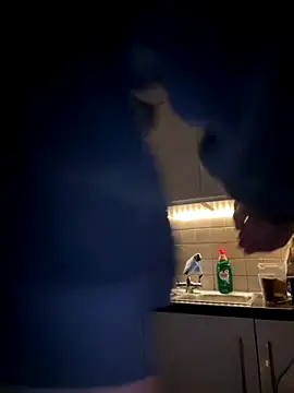 Snapshot of Michel_huge chatting on November 27, 8:27 am Michel huge online show from November 27, 8:27 am