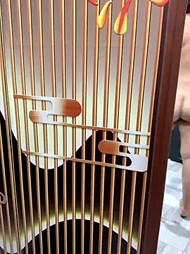 Snapshot of yang-2269 chatting on November 21, 8:51 pm yang-2269 online show from November 21, 8:51 pm