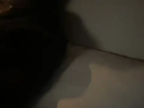 dddasani online show from December 15, 6:45 pm