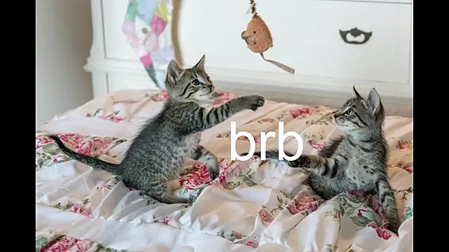 Pink girl0n online show from September 24, 2:42 pm