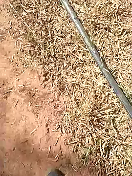 sonotutto online show from October 13, 10:26 am