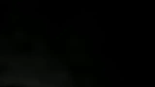 WILD FIREE  online show from December 2, 8:15 pm