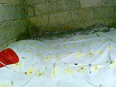 hotmom pinay online show from December 1, 2:05 am