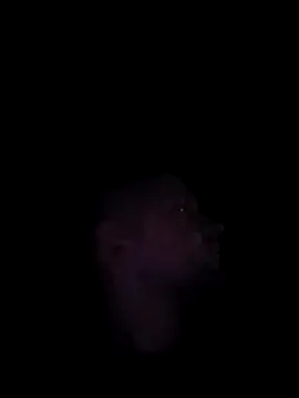 Mumuska online show from December 3, 10:52 pm