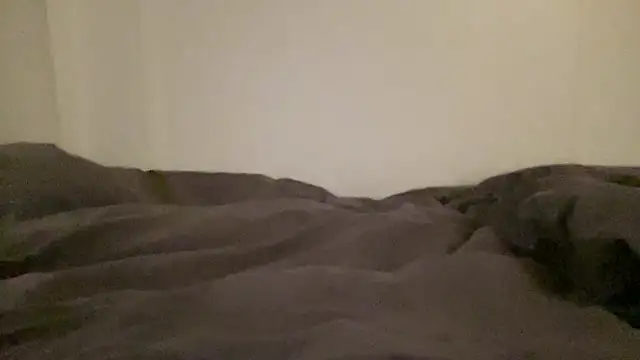 Snapshot of peterpapiNL chatting on January 18, 1:31 am peterpapiNL online show from January 18, 1:31 am