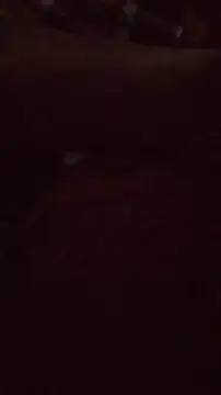 wanderboy1000 online show from January 19, 3:05 pm