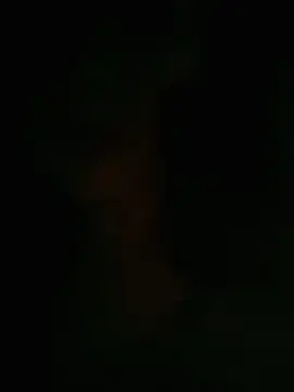 Snapshot of HellaWerlous chatting on January 12, 4:34 pm HellaWerlous online show from January 12, 4:34 pm