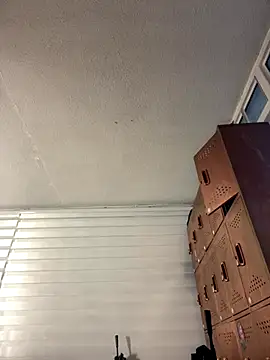 Sallem Pink online show from December 23, 11:08 am