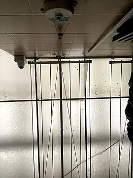 Sallem Pink online show from January 16, 11:25 am