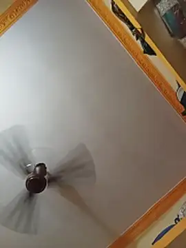 NISHU-TELUGU online show from March 28, 2:38 pm