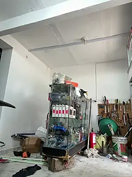 Snapshot of Terra-22cm chatting on February 14, 2:36 pm Terra-22cm online show from February 14, 2:36 pm