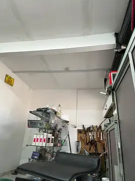 Terra-22cm online show from April 8, 1:44 pm