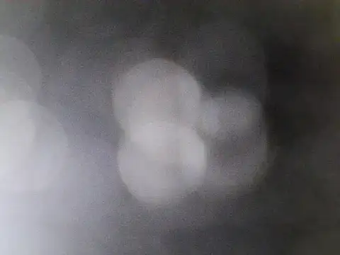 Asian PrettyAle online show from February 21, 1:39 am