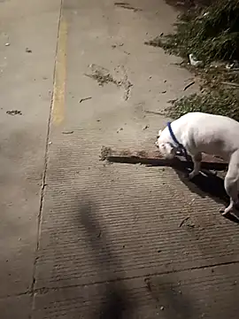 Frank0021 online show from December 14, 1:33 am