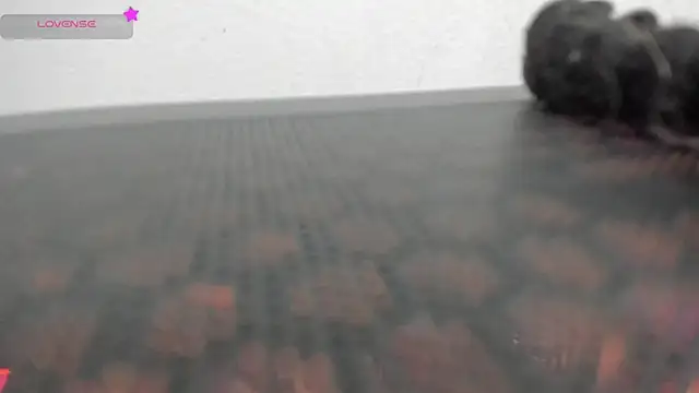 FluffyMelons online show from April 1, 11:02 pm