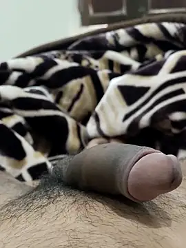 Snapshot of Bull54321 chatting on February 14, 6:54 am Bull54321 online show from February 14, 6:54 am