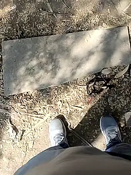 indian pavi online show from January 19, 5:55 am