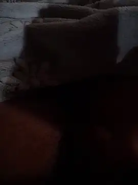 ratoncito 3 online show from April 26, 12:30 am