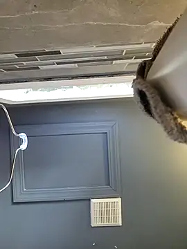 chocolate bella online show from March 28, 12:49 pm