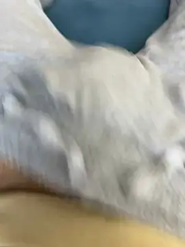 Frankieyyy1 online show from March 15, 7:58 am