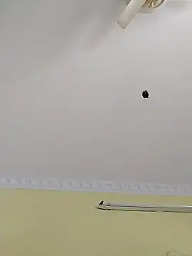 Monika Telugu Girl online show from November 14, 8:13 am