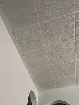 LICEET online show from September 25, 3:27 pm