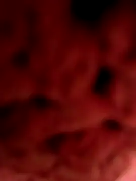 Gusttavotesudoxxvvc online show from September 18, 7:16 pm