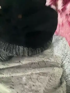 Snapshot of Yasar-Xxxl chatting on February 12, 1:44 am Yasar-Xxxl online show from February 12, 1:44 am